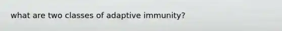 what are two classes of adaptive immunity?