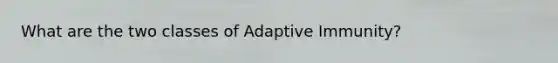 What are the two classes of Adaptive Immunity?