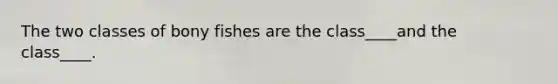 The two classes of bony fishes are the class____and the class____.
