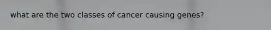 what are the two classes of cancer causing genes?