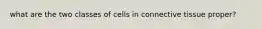 what are the two classes of cells in connective tissue proper?