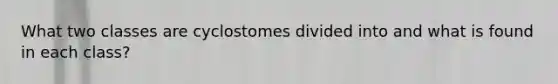 What two classes are cyclostomes divided into and what is found in each class?