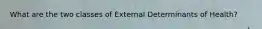 What are the two classes of External Determinants of Health?