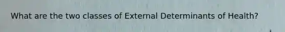 What are the two classes of External Determinants of Health?