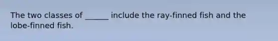 The two classes of ______ include the ray-finned fish and the lobe-finned fish.