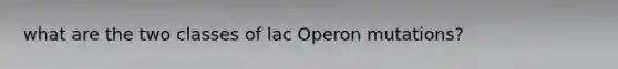 what are the two classes of lac Operon mutations?