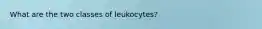 What are the two classes of leukocytes?