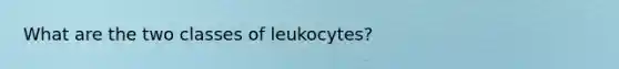 What are the two classes of leukocytes?