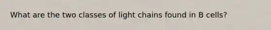 What are the two classes of light chains found in B cells?