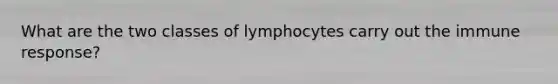 What are the two classes of lymphocytes carry out the immune response?