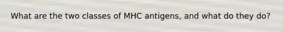 What are the two classes of MHC antigens, and what do they do?