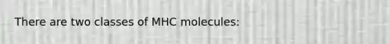 There are two classes of MHC molecules: