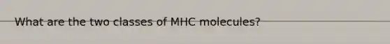 What are the two classes of MHC molecules?