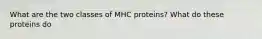 What are the two classes of MHC proteins? What do these proteins do