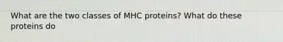 What are the two classes of MHC proteins? What do these proteins do