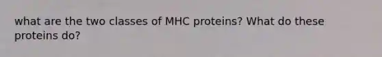 what are the two classes of MHC proteins? What do these proteins do?