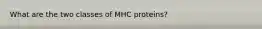 What are the two classes of MHC proteins?