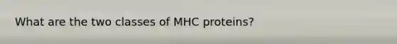 What are the two classes of MHC proteins?