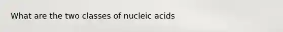 What are the two classes of nucleic acids