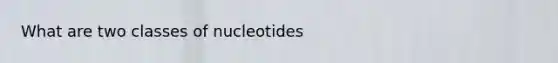 What are two classes of nucleotides