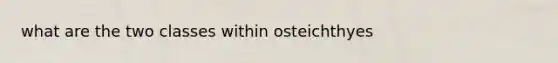 what are the two classes within osteichthyes