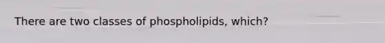 There are two classes of phospholipids, which?