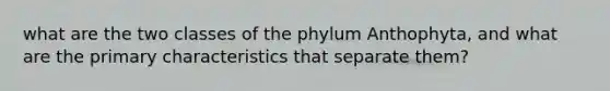 what are the two classes of the phylum Anthophyta, and what are the primary characteristics that separate them?