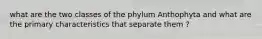 what are the two classes of the phylum Anthophyta and what are the primary characteristics that separate them ?