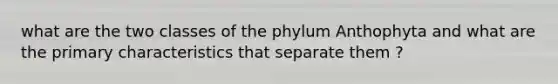 what are the two classes of the phylum Anthophyta and what are the primary characteristics that separate them ?