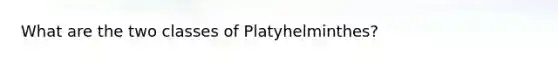 What are the two classes of Platyhelminthes?