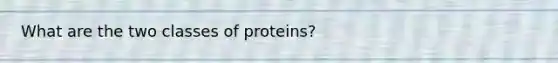 What are the two classes of proteins?