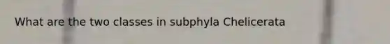 What are the two classes in subphyla Chelicerata