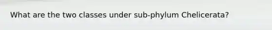 What are the two classes under sub-phylum Chelicerata?