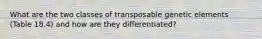 What are the two classes of transposable genetic elements (Table 18.4) and how are they differentiated?