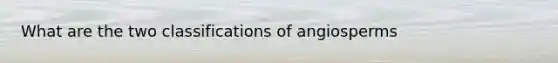 What are the two classifications of angiosperms