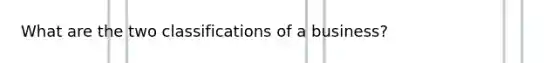 What are the two classifications of a business?