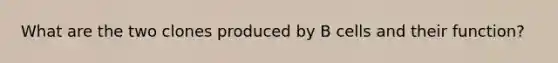 What are the two clones produced by B cells and their function?