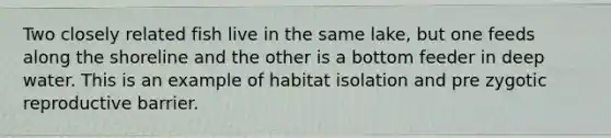 Two closely related fish live in the same lake, but one feeds along the shoreline and the other is a bottom feeder in deep water. This is an example of habitat isolation and pre zygotic reproductive barrier.