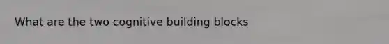 What are the two cognitive building blocks