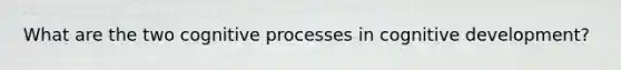 What are the two cognitive processes in cognitive development?