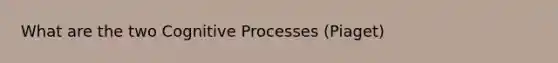 What are the two Cognitive Processes (Piaget)