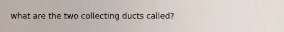 what are the two collecting ducts called?