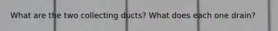 What are the two collecting ducts? What does each one drain?