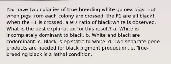 You have two colonies of true-breeding white guinea pigs. But when pigs from each colony are crossed, the F1 are all black! When the F1 is crossed, a 9:7 ratio of black:white is observed. What is the best explanation for this result? a. White is incompletely dominant to black. b. White and black are codominant. c. Black is epistatic to white. d. Two separate gene products are needed for black pigment production. e. True-breeding black is a lethal condition.