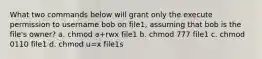 What two commands below will grant only the execute permission to username bob on file1, assuming that bob is the file's owner? a. chmod a+rwx file1 b. chmod 777 file1 c. chmod 0110 file1 d. chmod u=x file1s