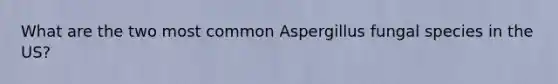 What are the two most common Aspergillus fungal species in the US?