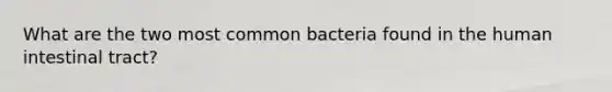 What are the two most common bacteria found in the human intestinal tract?