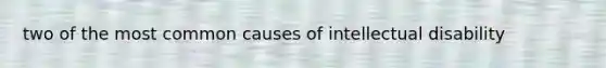 two of the most common causes of intellectual disability
