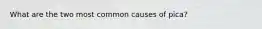 What are the two most common causes of pica?