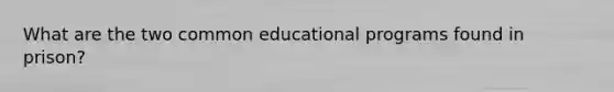 What are the two common educational programs found in prison?